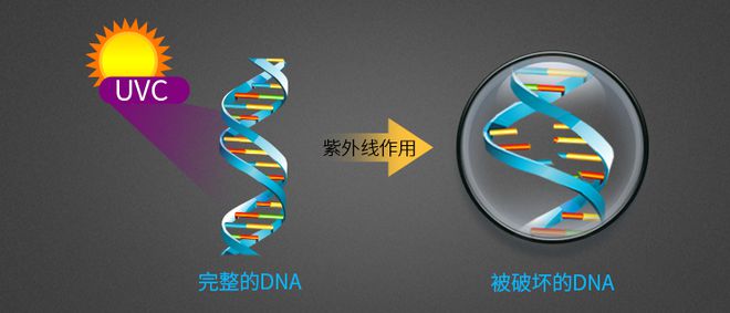 好物推介 开云电竞一分钟消杀新冠病毒这个空气消毒机拥有硬核科技(图2)